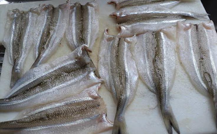 Pejerrey Limpios (Docena)