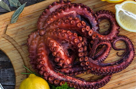 Pulpo cocido
